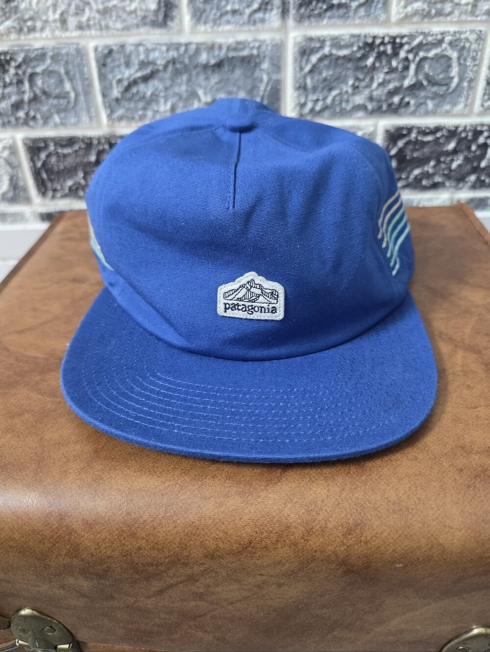 Patagonia Unisex Blue Baseball Cap One Size